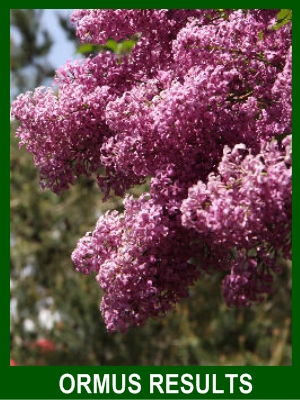 Ormus increased blooms Ormus increased blooms