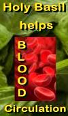 Ormus Minerals - Holy Basil HELPS Blood Circulation Ormus Minerals - Holy Basil HELPS Blood Circulation