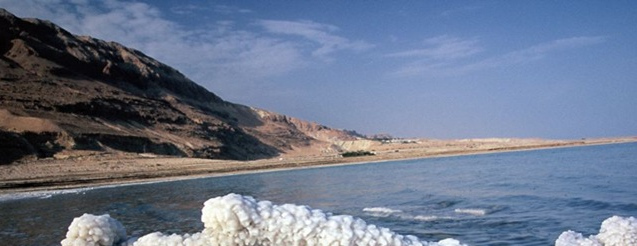 Ormus Minerals Dead Sea Salt resource Ormus Minerals Dead Sea Salt resource